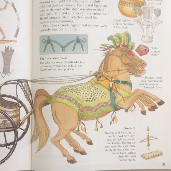 In Search of Tutankhamun: The Discovery of a King's Tomb - Picture 8 of 12